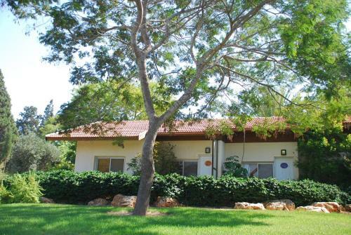 Kibbutz Mizra Country Lodging