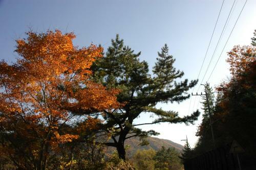 Hostal Namhae Neuhaus