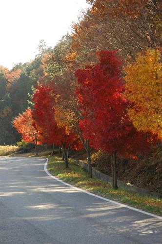Hostal Namhae Neuhaus