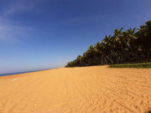 Hotel Wild Palms On Sea