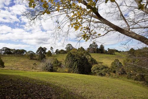 Agroturismo Jacaranda Cottages