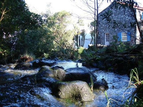 Agroturismo Quinta Da Ribeira Da Urze