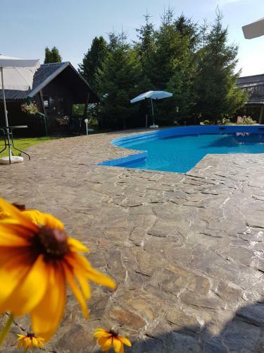 Camping Robinson Country Club Oradea