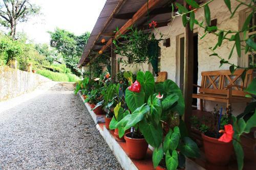 Bed & Breakfast Kalarickal Heritage Bungalow