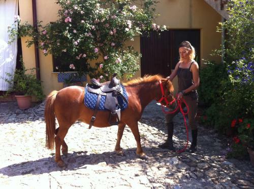 Hostal Agriturismo Ridocco