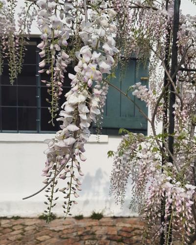 Bed & Breakfast Wildekrans Country House