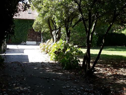 Casa Do Jardim