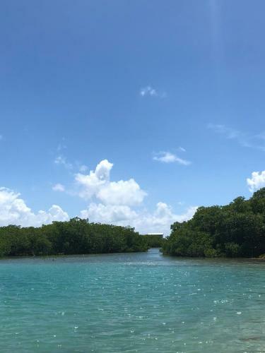 Hotel Royal Palm Island Resort