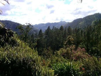 Hotel Star Light Chalet And Health Spa