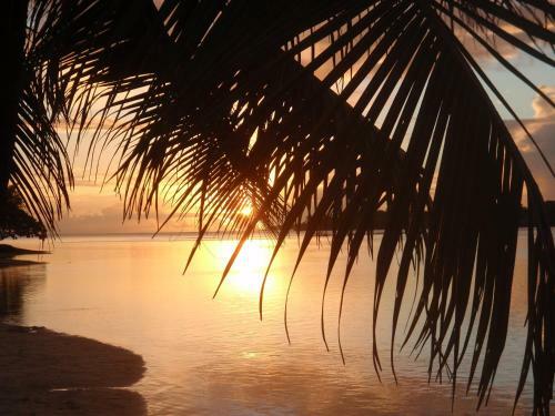 Hotel Erakor Island Resort & Spa