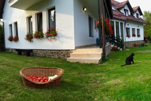 Hostal Pensiunea Sandra