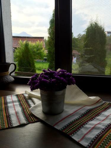 Hostal Pensiunea Sandra