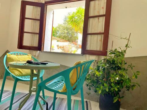 Casa Rico Frade Garden