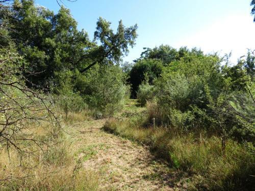 Meerkatplaats Guesthouse And B&B