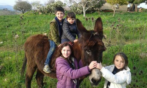 Agroturismo Agriturismo Feudo Muxarello