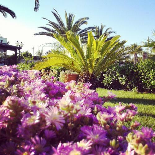 Agroturismo Relais La Giara