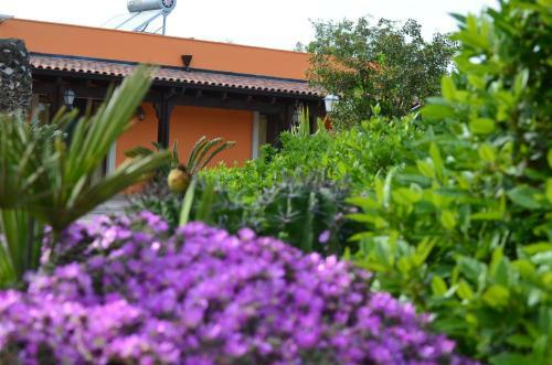 Agroturismo Relais La Giara