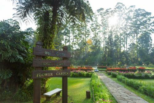 Bed & Breakfast Heaven Seven Hotels