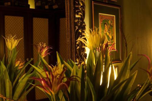 Hotel Reef Villa And Spa