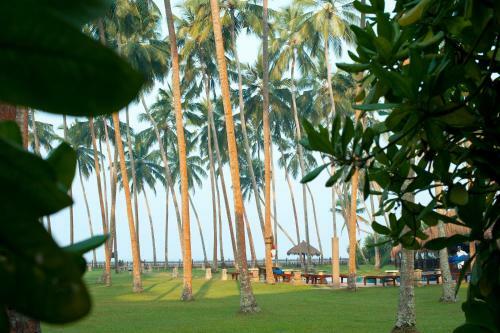 Hotel Reef Villa And Spa