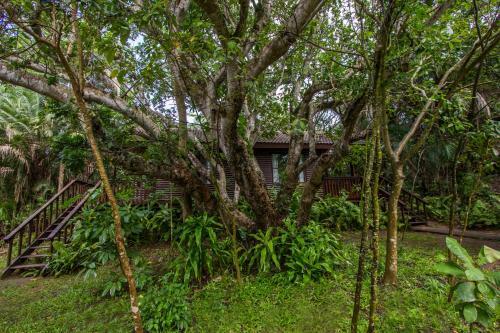 Hotel Three Cities Imvubu Lodge