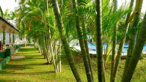 Apartamento Sagarika Beach Hotel