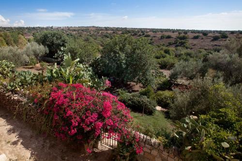 Agroturismo Tenuta Cammarana