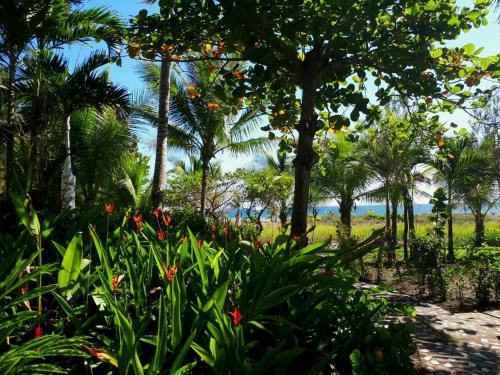 Hotel Las Olas Beach Resort