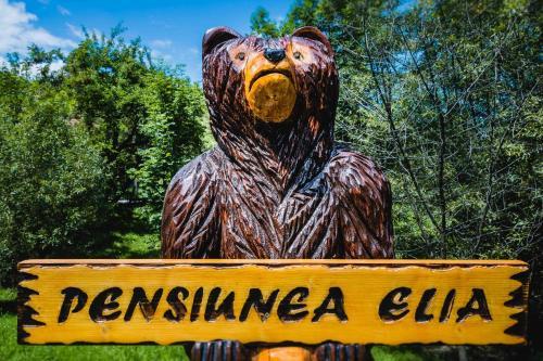 Agroturismo Pensiunea Elia