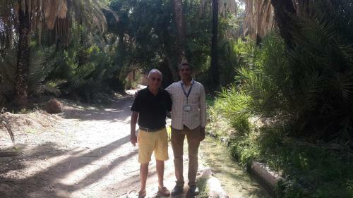 Oasis De Tiout