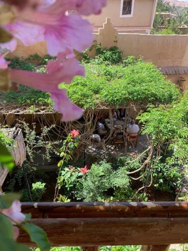Oasis De Tiout