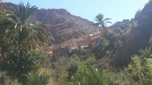 Oasis De Tiout