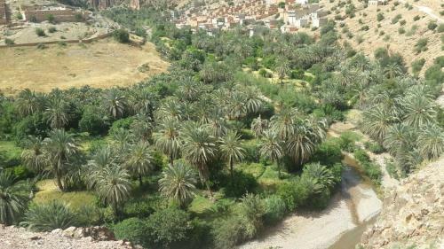 Oasis De Tiout