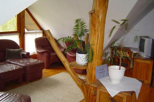 Apartamento S�rk�ny Bio Panzi�