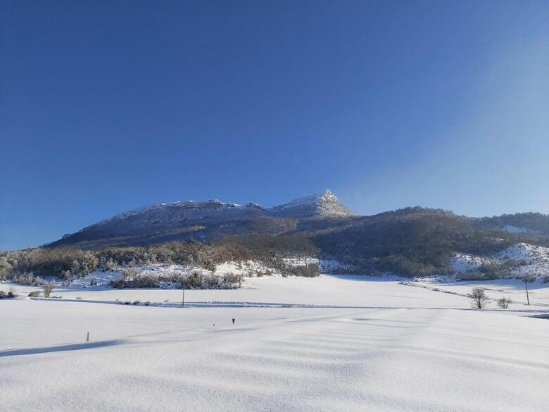 Hotel Andamur San Rom�n