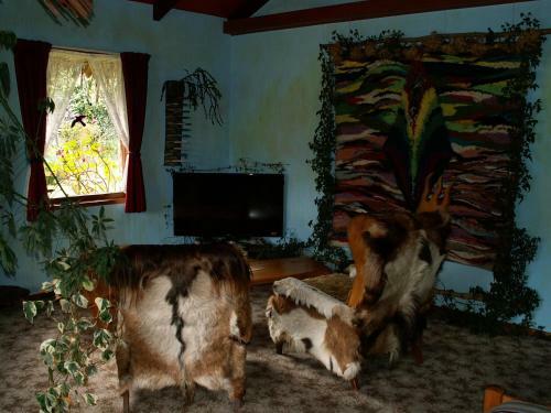 Hostal Little Paradise Lodge