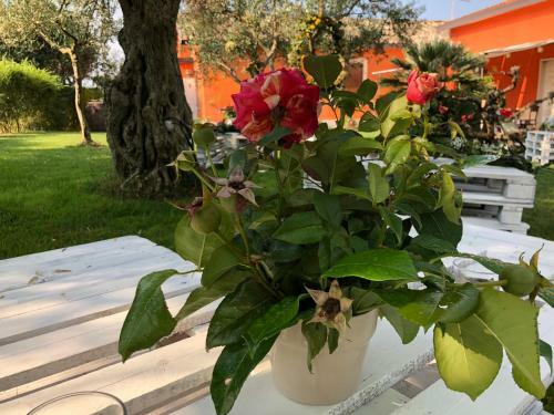 Bed & Breakfast Al Chiaro Di Luna
