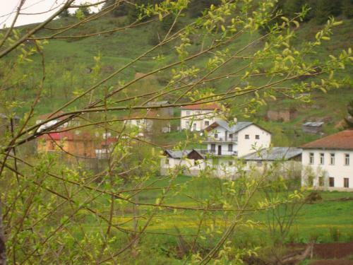Hostal Kuma Lissa Guest House