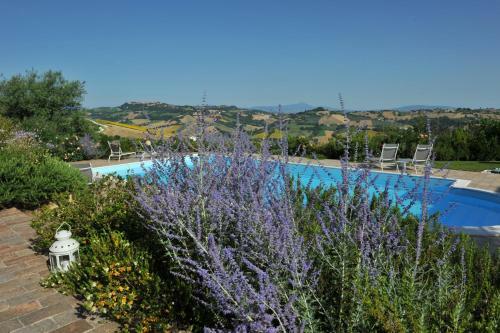 Agroturismo Il Picchio Verde