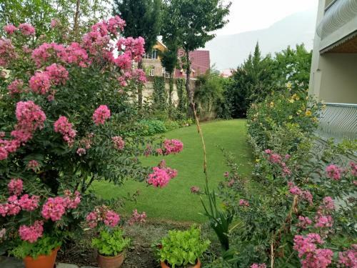 Bed & Breakfast Snow Leopard Lodge