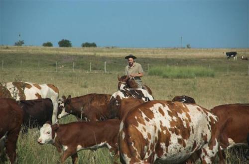 Agroturismo Estancia Hosteria El Ceibo