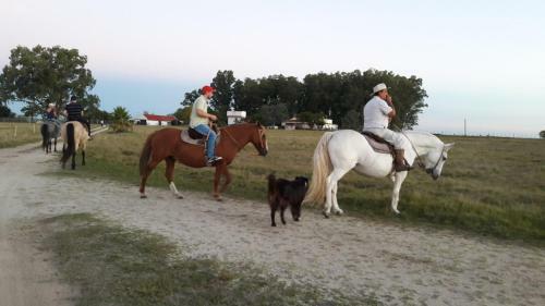 Agroturismo Estancia Hosteria El Ceibo