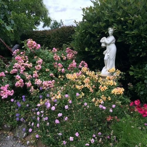 Bed & Breakfast Blairgowrie House