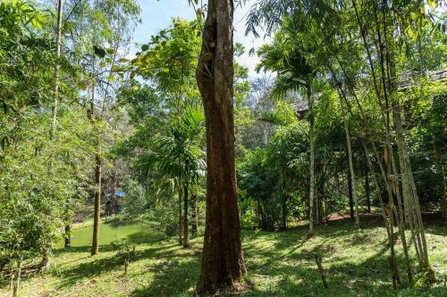 Hotel The Woods Resorts Wayanad