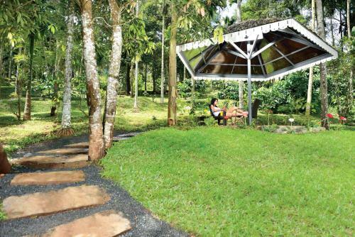 Hotel The Woods Resorts Wayanad