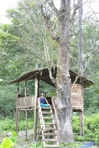 Hotel The Woods Resorts Wayanad