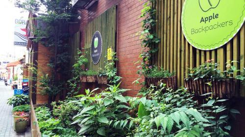 Albergue Apple Backpackers
