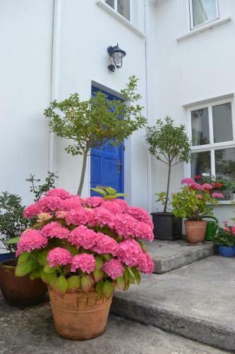 Bed & Breakfast Guaire House Killarney