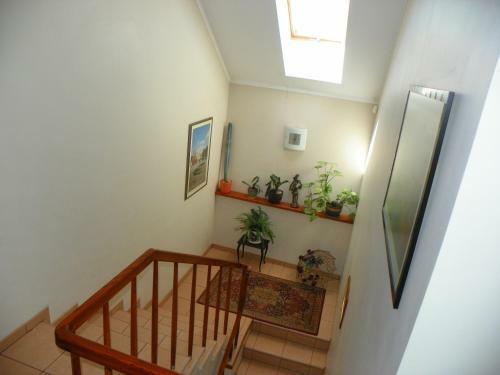 Hostal Guest House Novus Rex