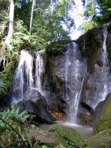 Lake Eacham Tourist Park & Cabins